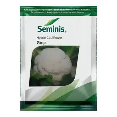 Hybrid Cauliflower Seeds – Girija