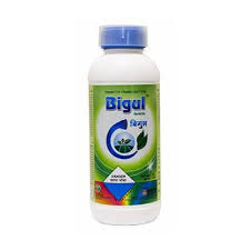 Bigul Bio Pesticide