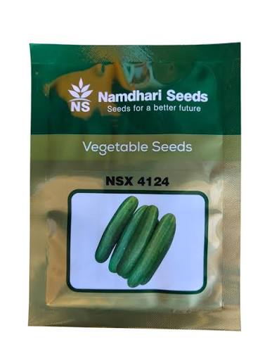 Namdhari Seeds NSX 4124