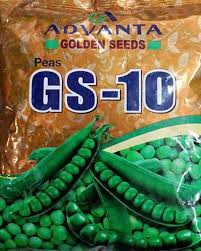 Advanta Golden Seeds GS-10 Peas