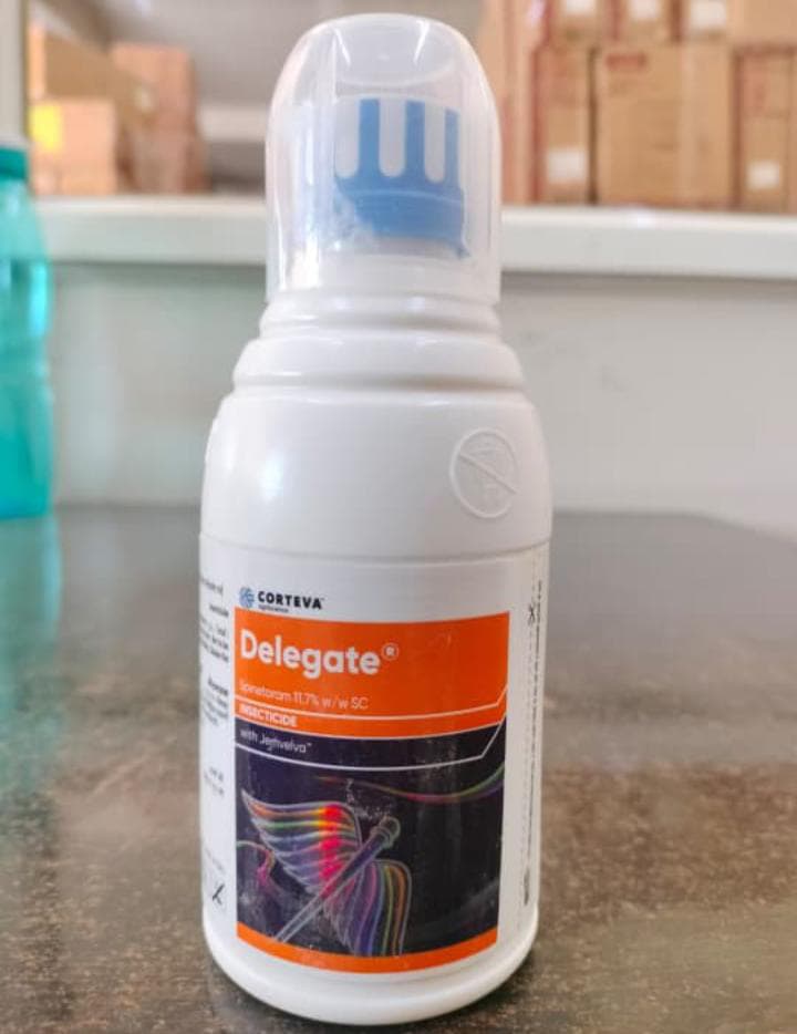 Delegate® Insecticide