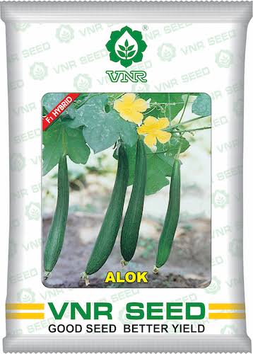 VNR Alok Hybrid Cucumber Seeds