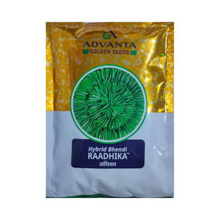 Advanta Golden Seeds Hybrid Bhendi Raadhika