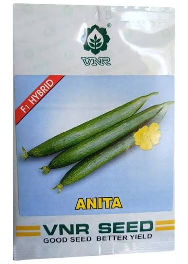 VNR Seed Anita F1 Hybrid Cucumber Seeds