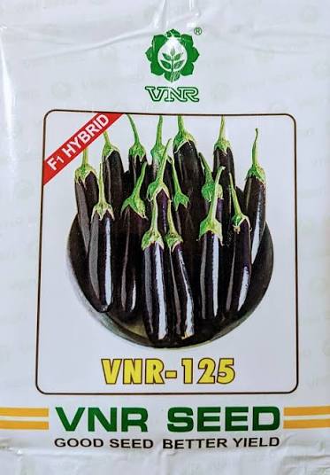 VNR-125 Brinjal Seeds