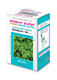 Bombay Super Coriander Seeds