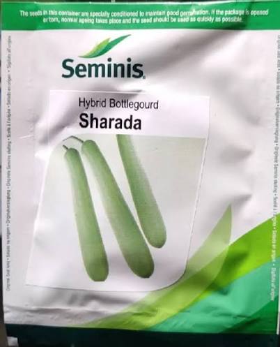 Seminis Hybrid Bottlegourd Seeds – Sharada