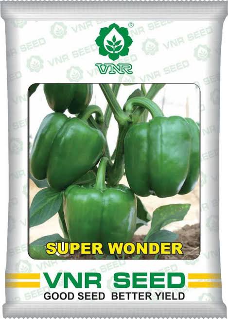 VNR Super Wonder Capsicum Seeds