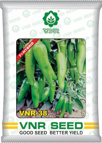 VNR-38 F1 Hybrid Chilli Seeds
