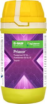 Priaxor Fungicide