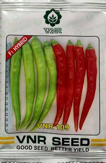 VNR 109 Chili Seeds