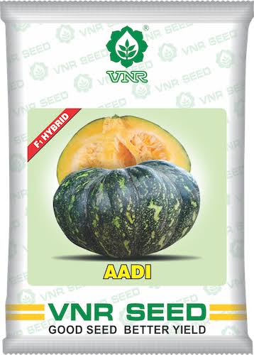 VNR Aadi Pumpkin Seeds