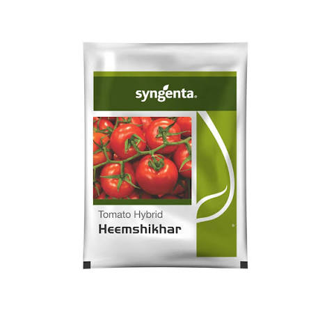 Syngenta Heemshikhar Tomato Hybrid Seeds
