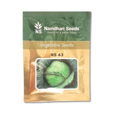 Namdhari Seeds NS 43 Cabbage Seeds