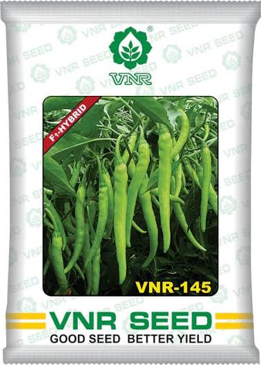 VNR-145 Green Chilli Seeds
