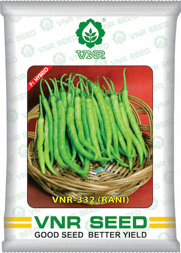 VNR-332 (Rani) Chilli Seeds