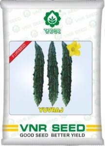 VNR Yuvraj Bitter Gourd Seeds