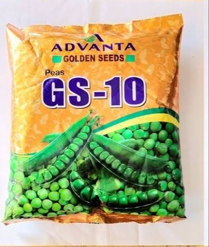 Advanta Peas GS-10