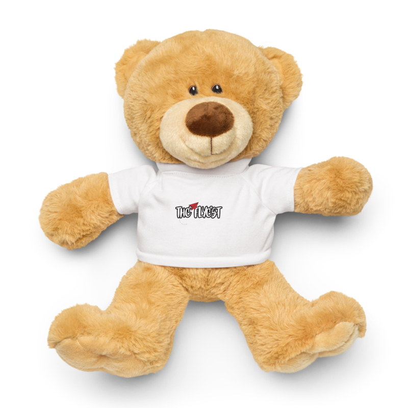 Teddy bear with a t-shirt