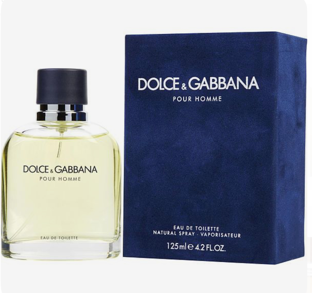 DOLCE & GABBANA 