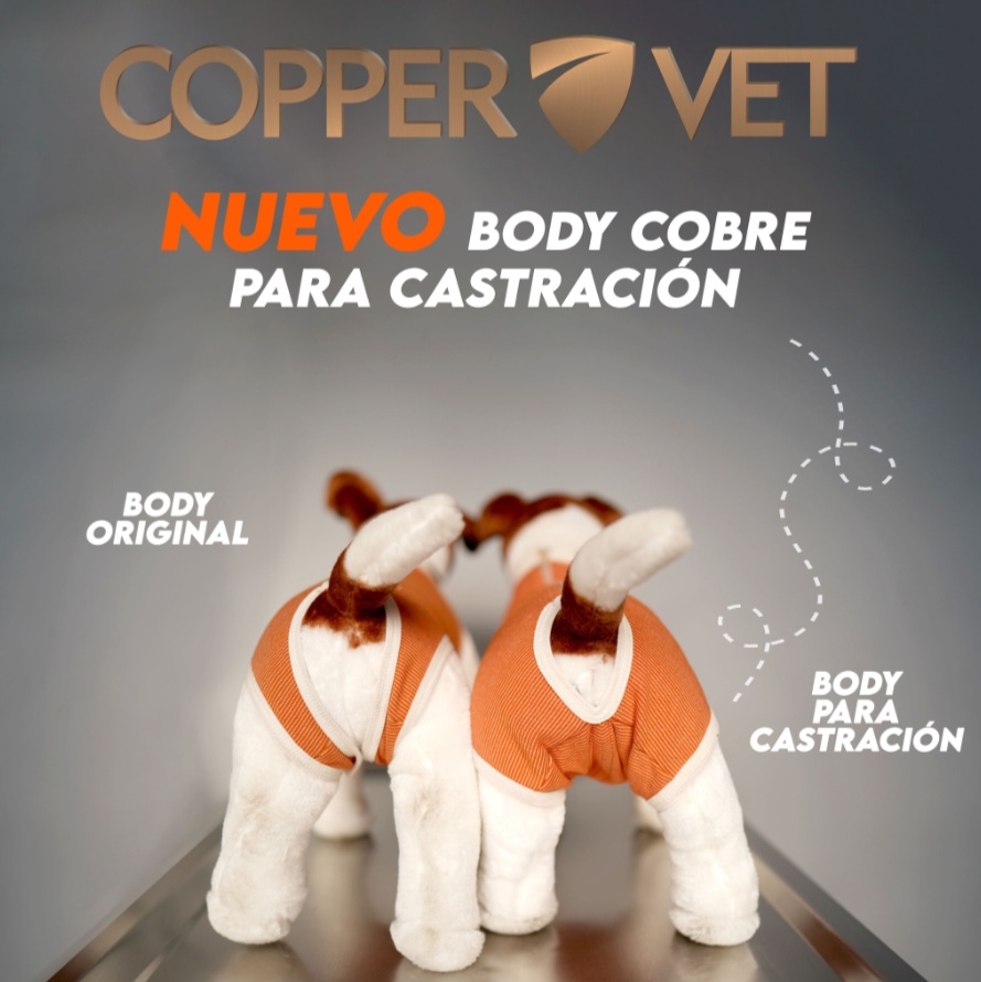 BODY COBRE CASTRACIÓN 