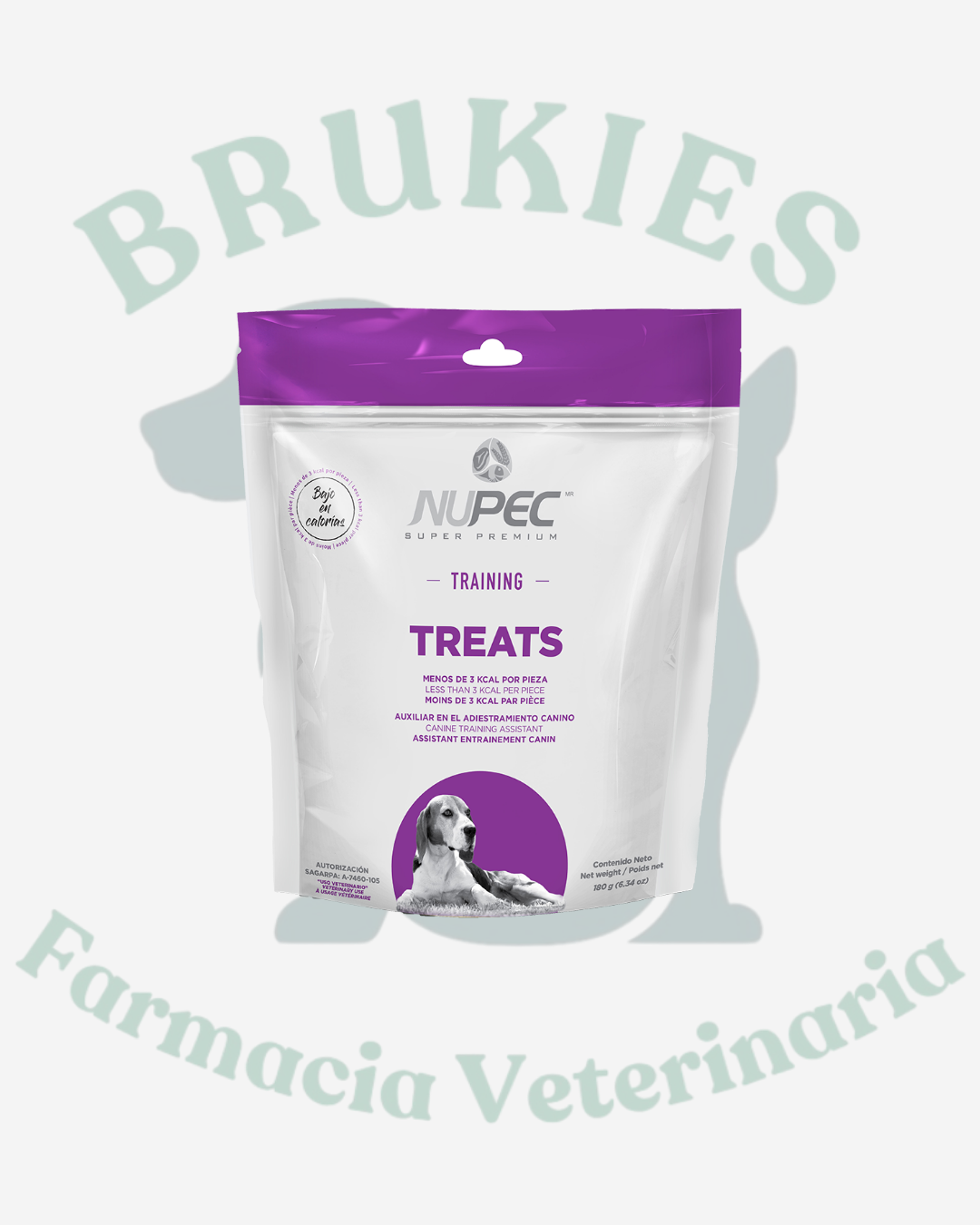 NUPEC TREATS TRAINING 