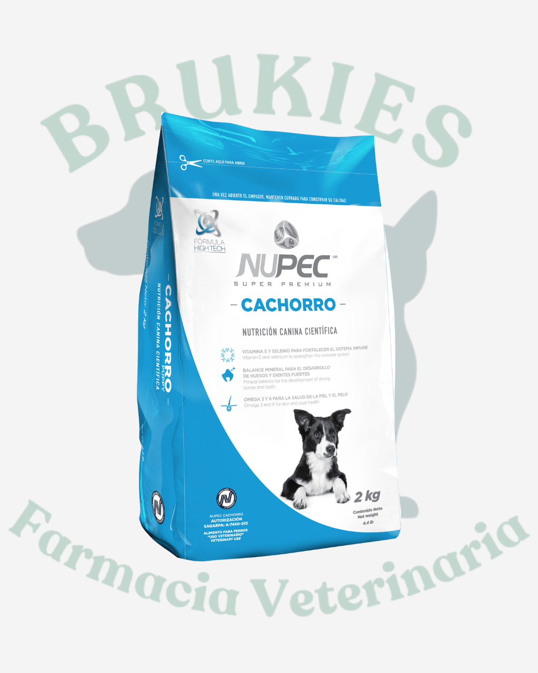 NUPEC CACHORRO