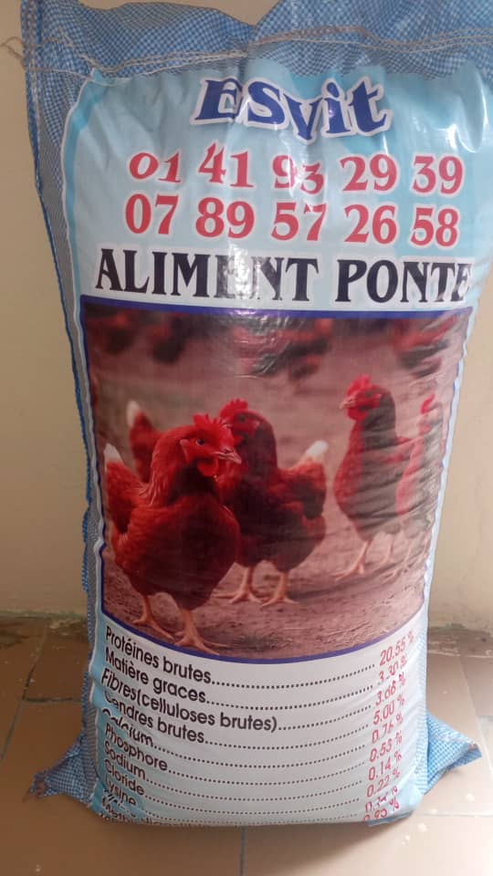 Aliment Ponte pour Poules