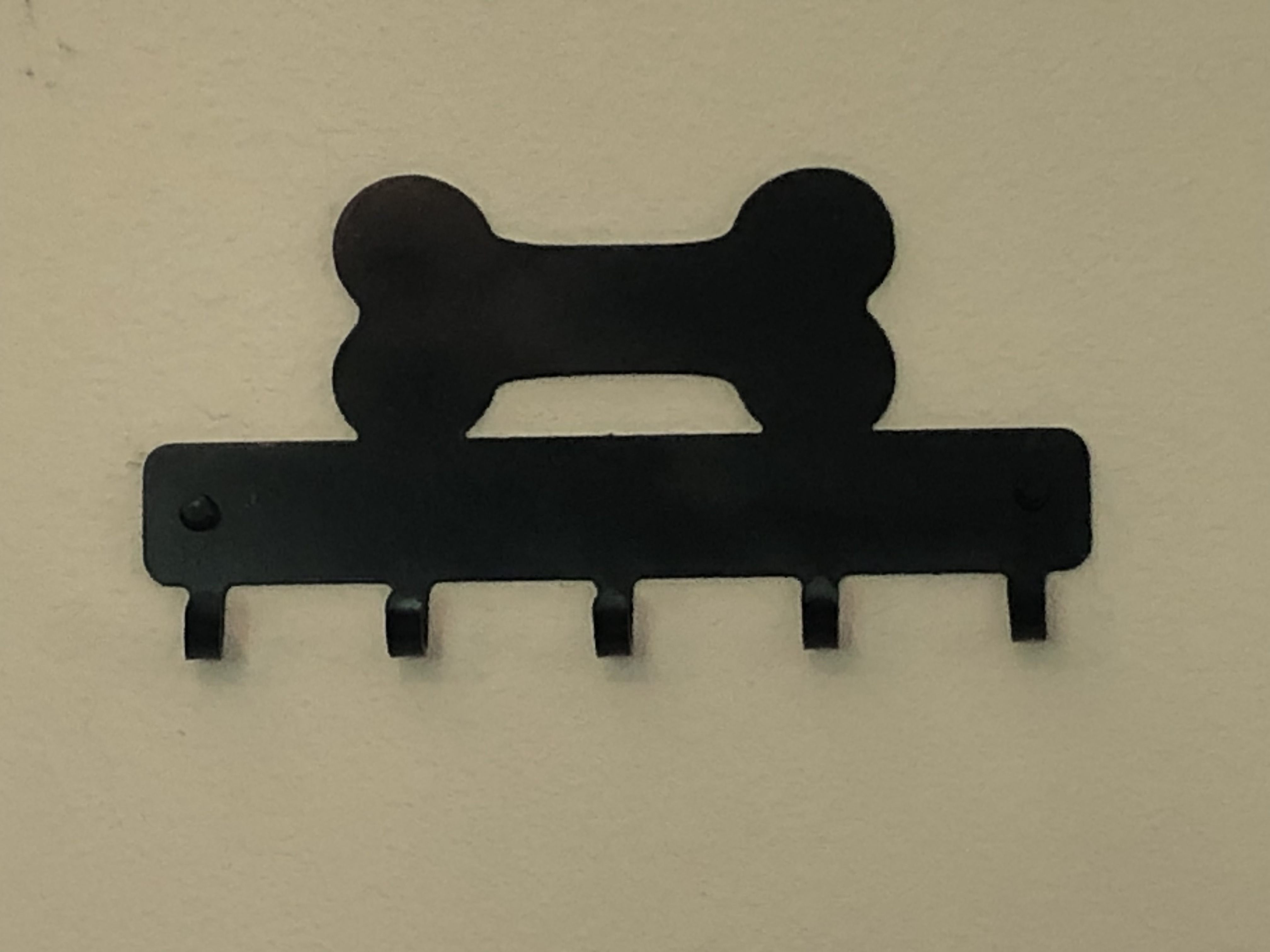 Leash/key hook bone