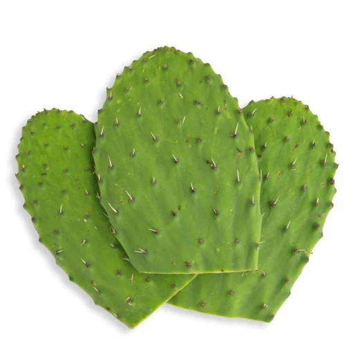 Nopales