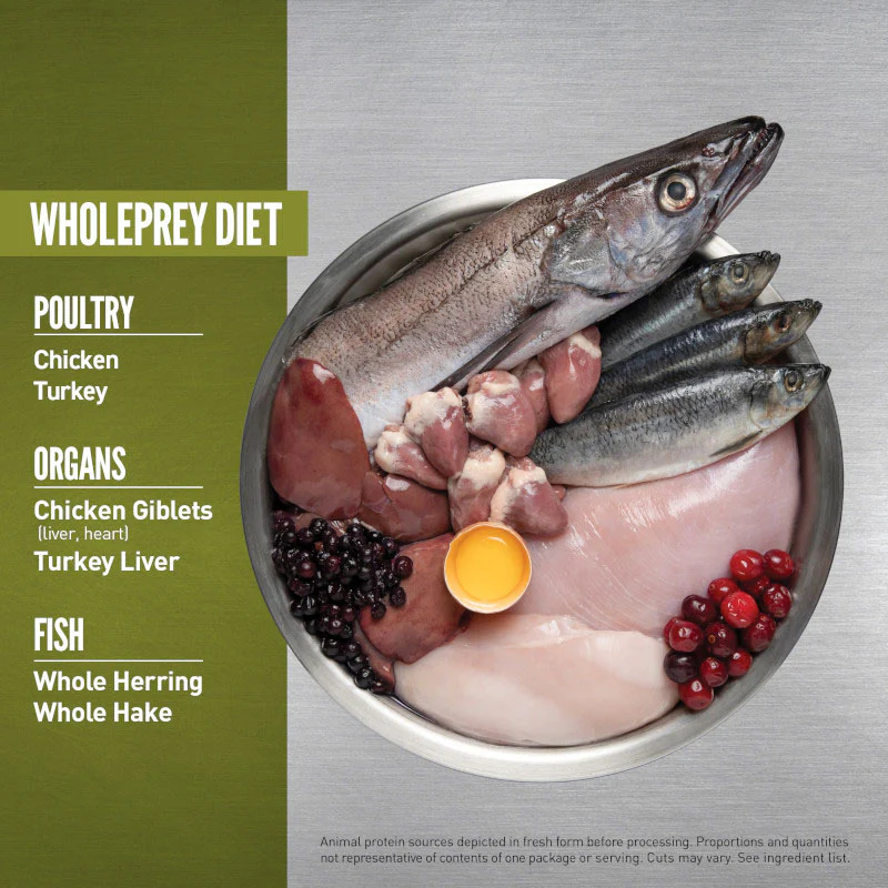 Orijen Senior Grain Free Dry Dog Food