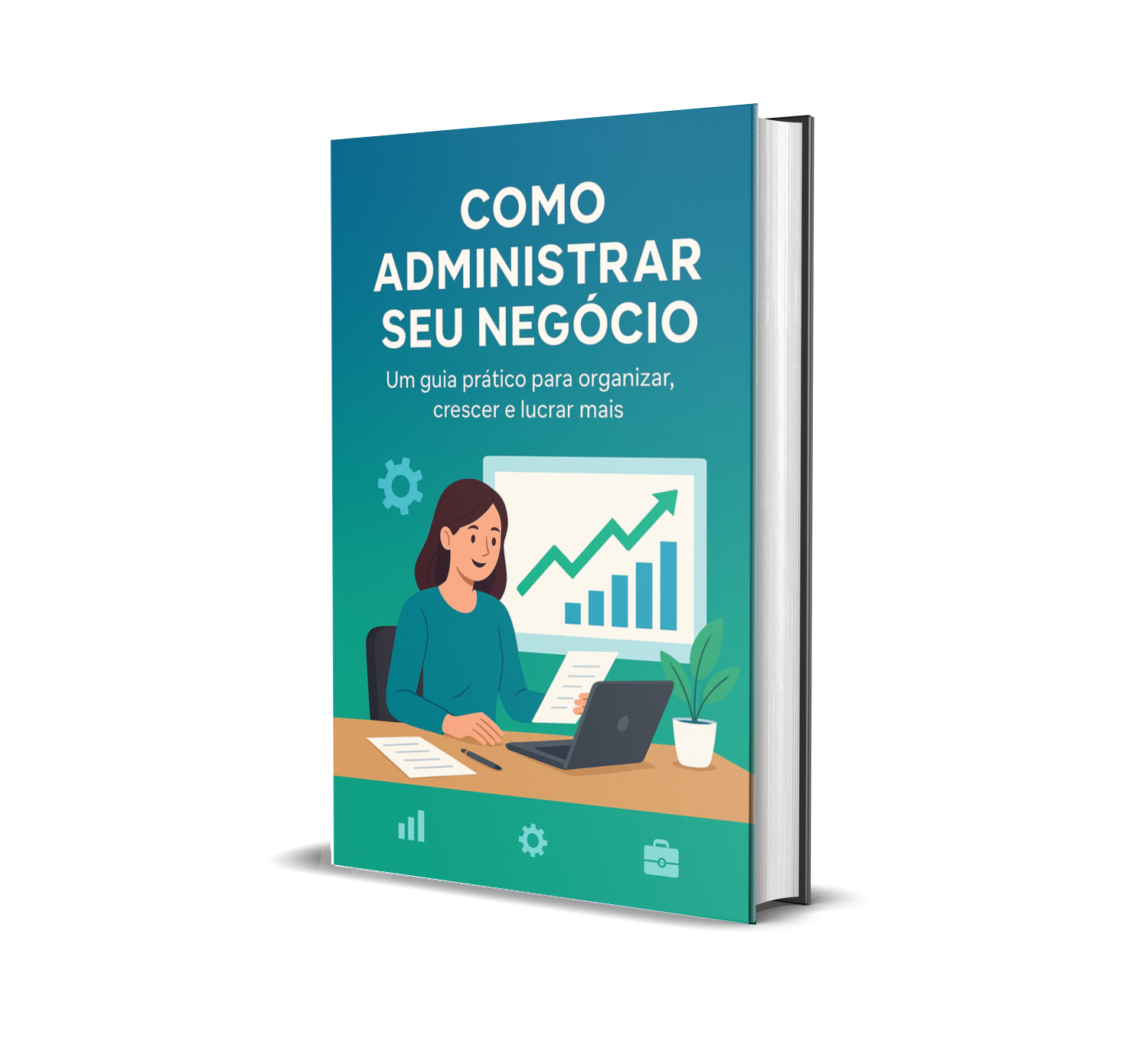 Como Administrar Seu Negócio