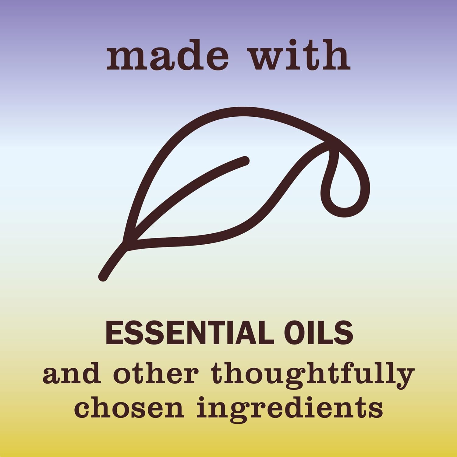 Mrs. MEYER'S CLEAN DAY Liquid Dish Soap