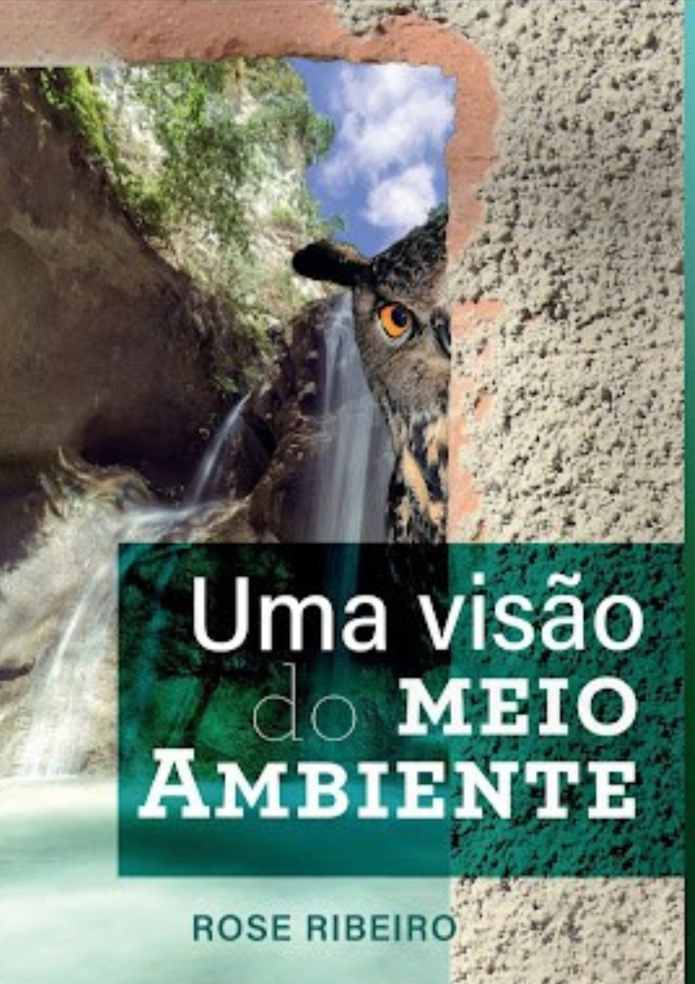 UMA VISÃO DO MEIO AMBIENTE    O Guia Definitivo para uma Vida Mais Sustentável 