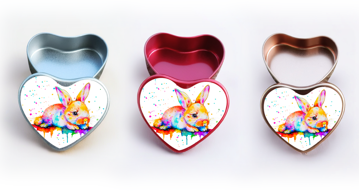 Boîte Lapin coloré