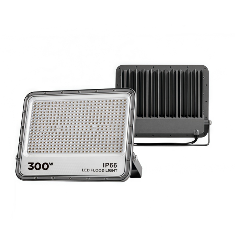 LED Flood Light JH-SDTGD-01