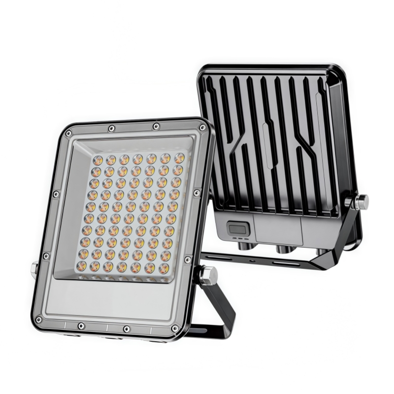 LED Flood Light CCT JH-SDTGD-05