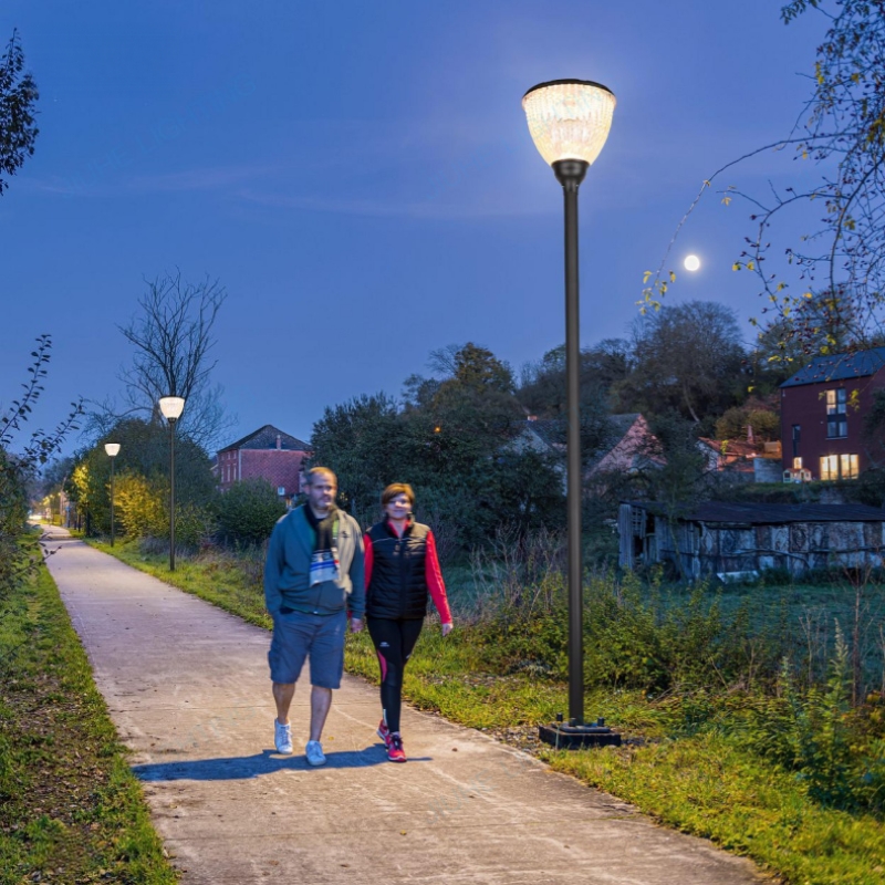 Solar Powered Street Light