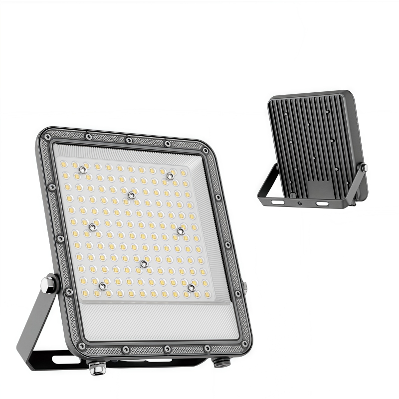 LED Flood Light JH-SDTGD-04