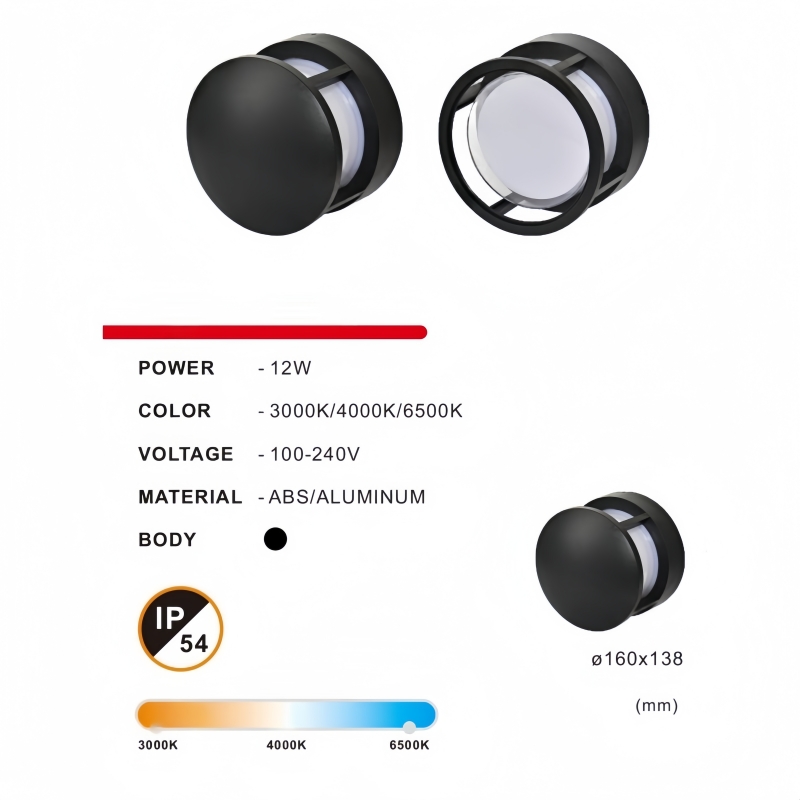 Outdoor LED Wall Lamp