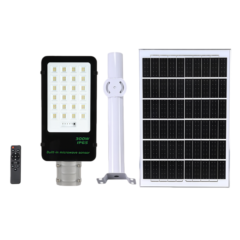 Solar Powered Street Light FTLD003C