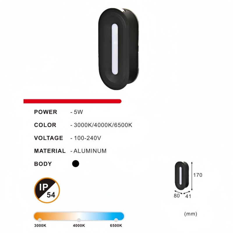 LED Wall Light