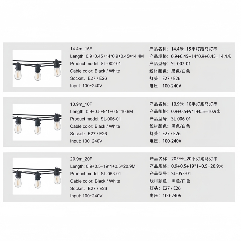 Outdoor String Lights 100-240V