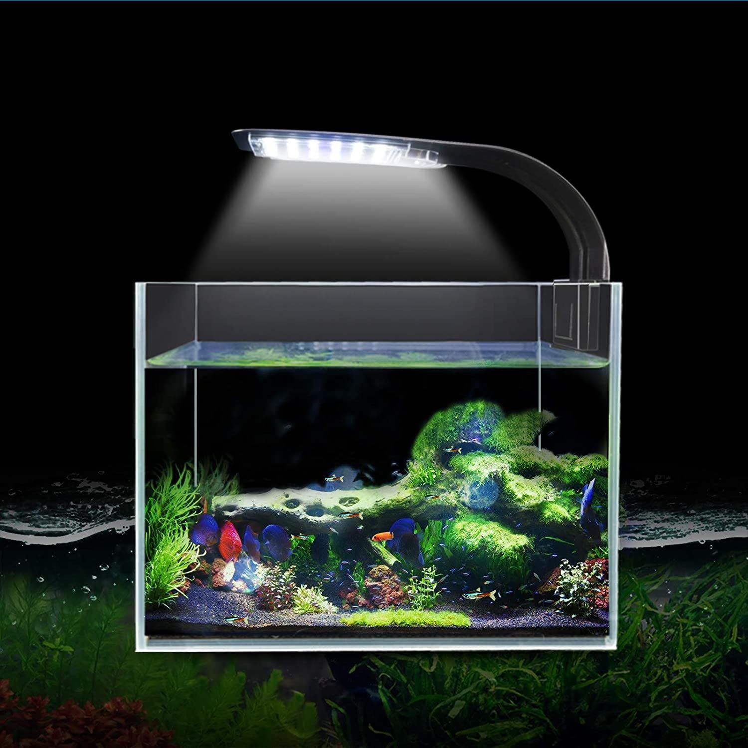LED light for Aquarium
