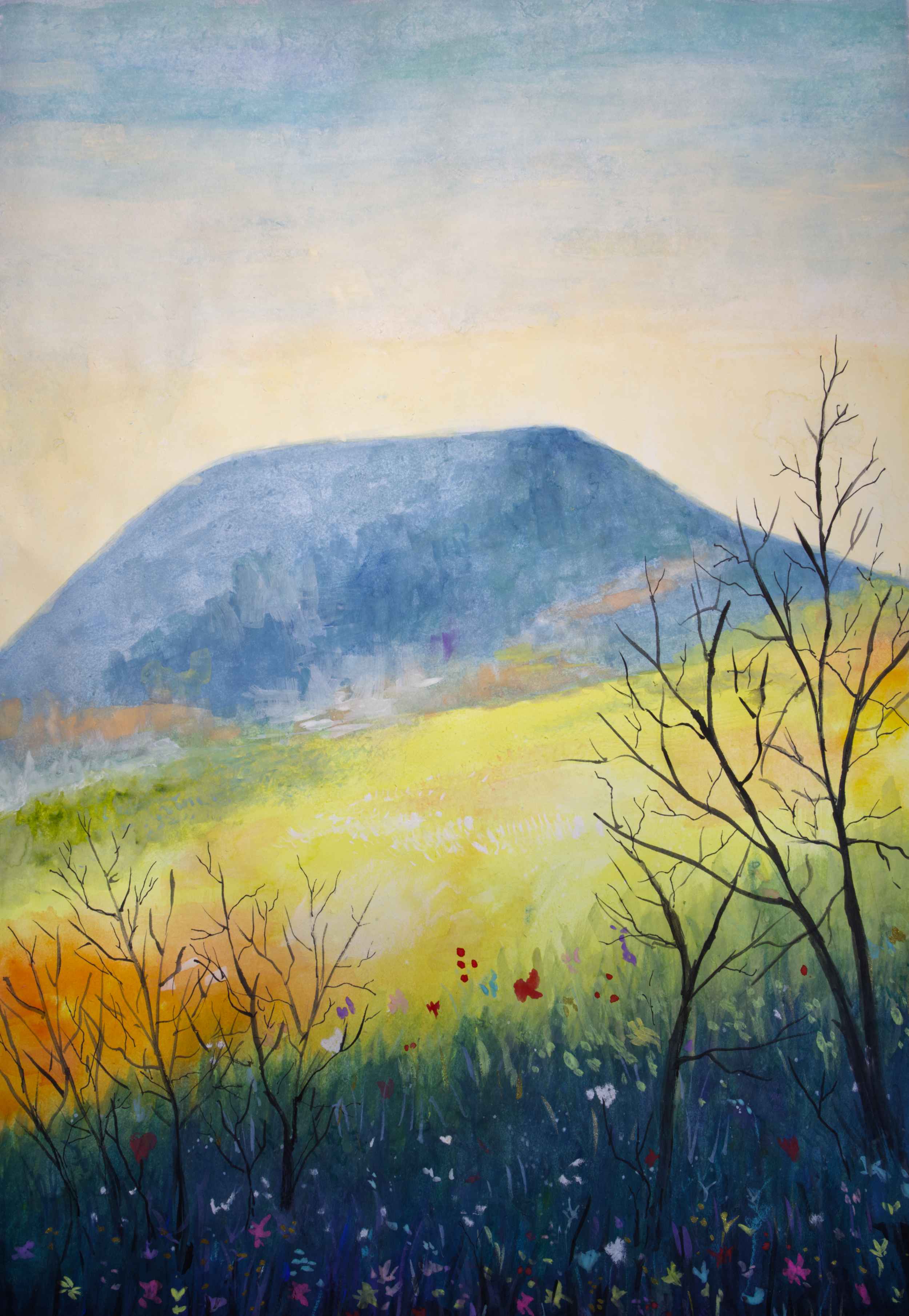 Mountain With Bush