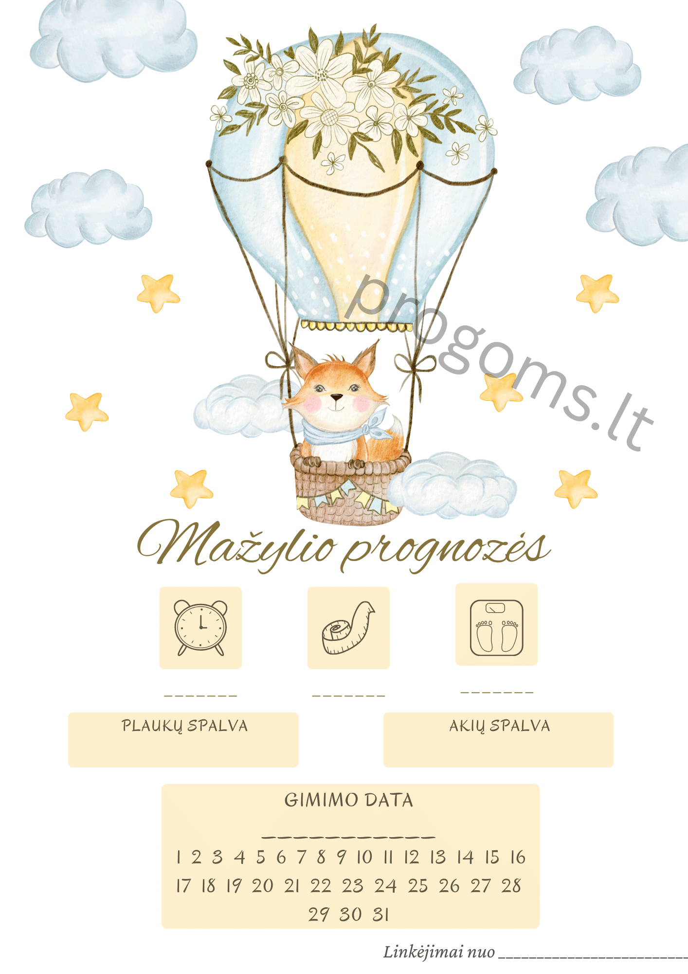 Žaidimas Mažylio prognozės žaidimas kortelėmis  Oro balionas (14,2 × 20,2 cm) (10 vnt.)