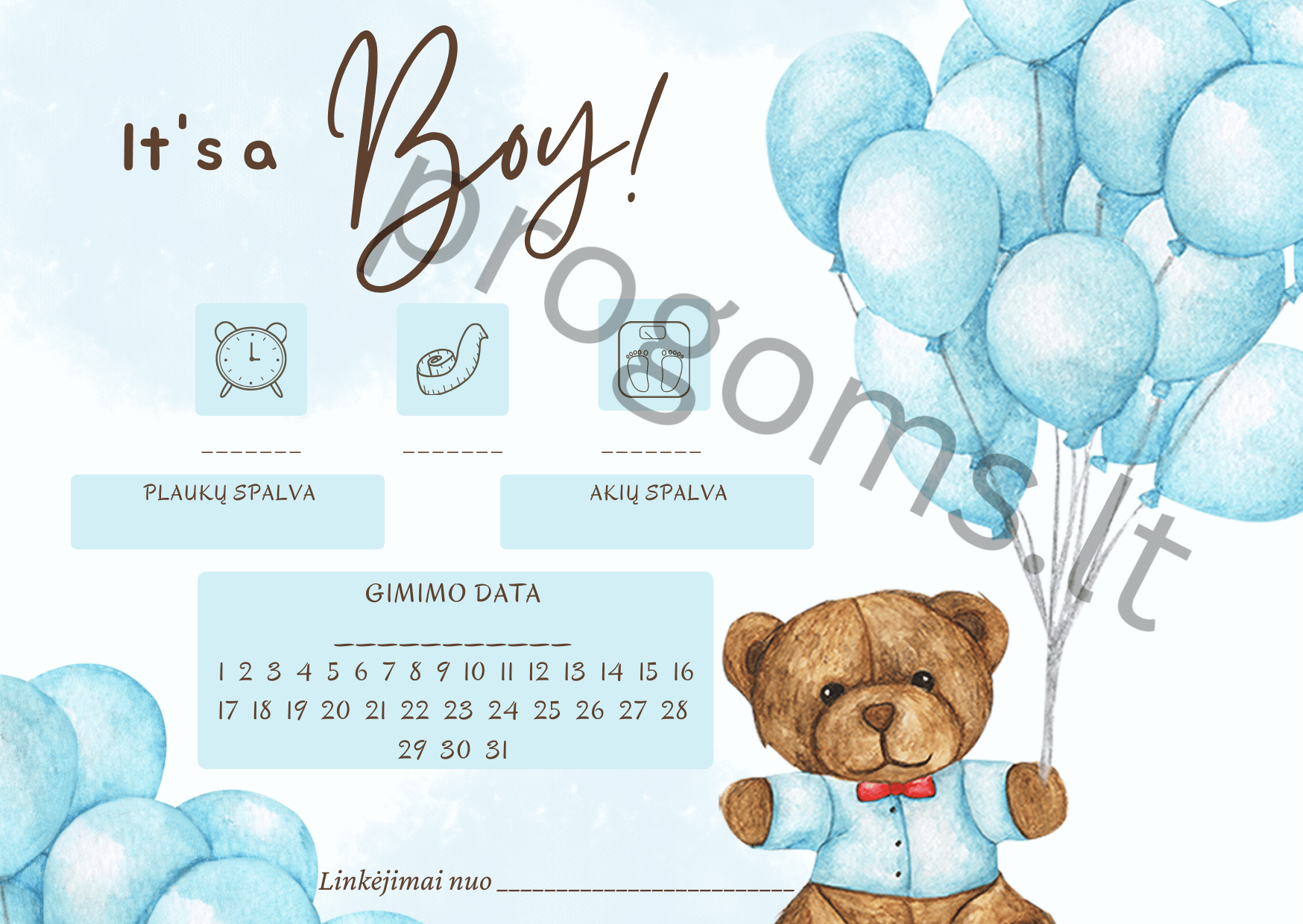 Žaidimas It's a Boy (10 vnt.) kortelių žaidimas (10,2 × 14,3 cm)