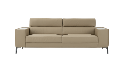 Modern Beige Sofa