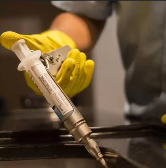 Professional Pest Control Gel Applicator