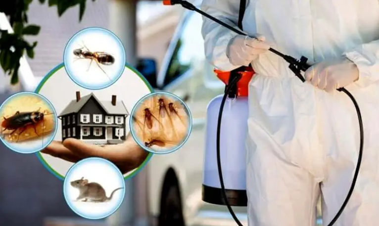 Professional Pest Control Services